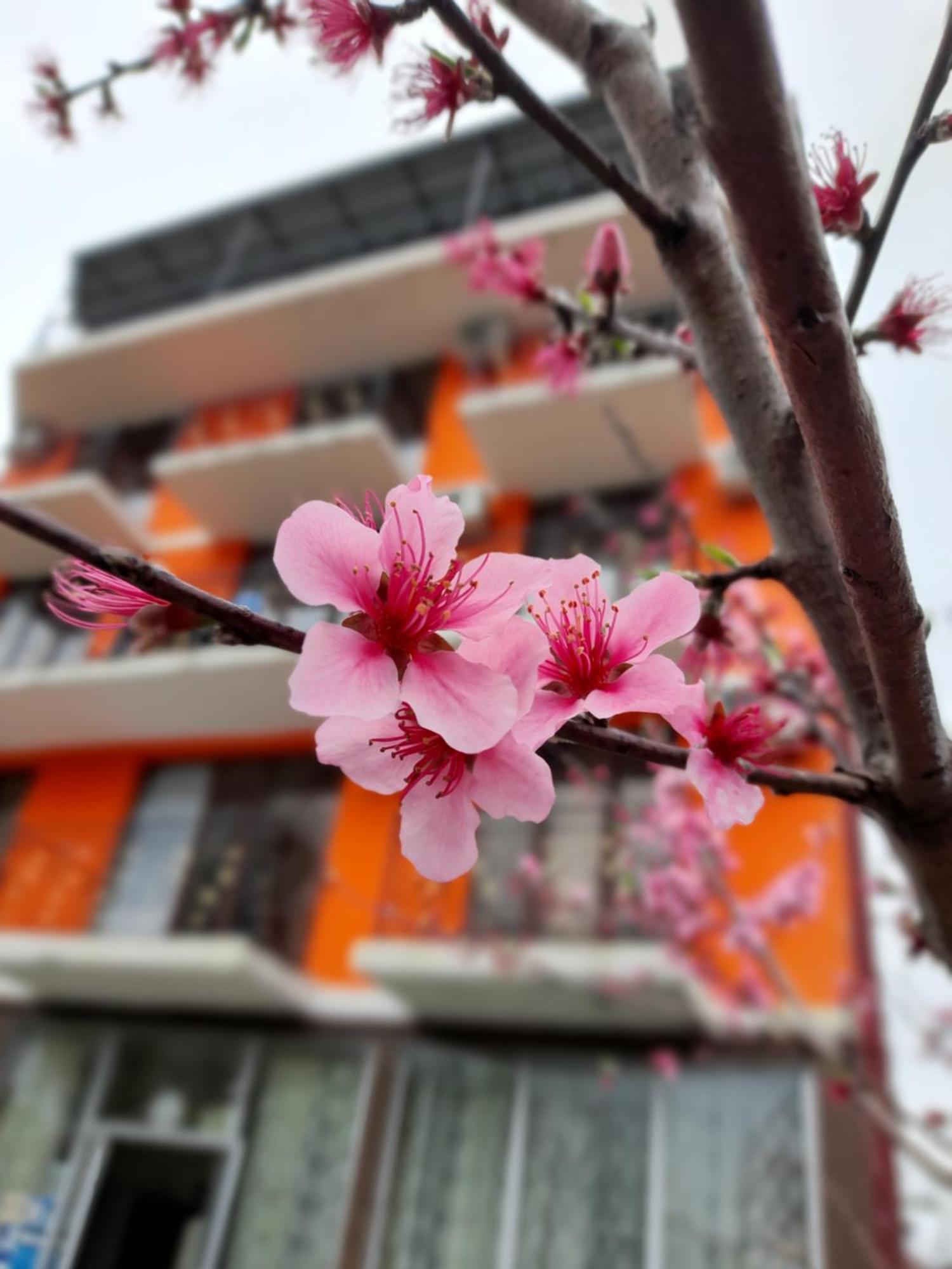 Vizitori Hotel 고니오 외부 사진
